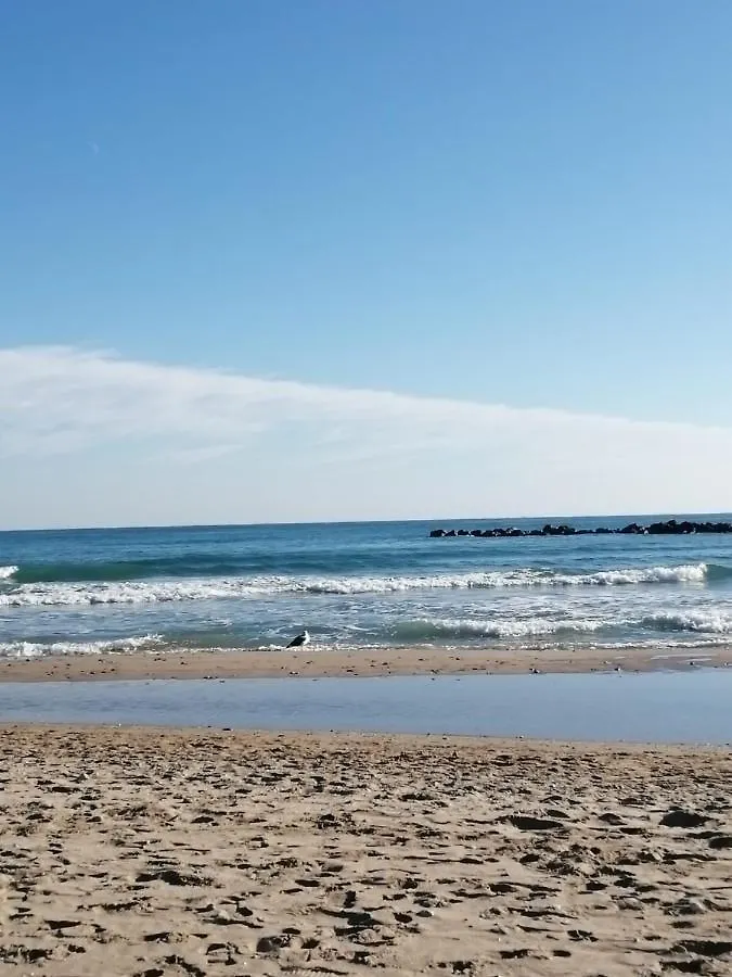 Apartamento En Primera Linea De Mar Con Piscina Apartment Cubelles